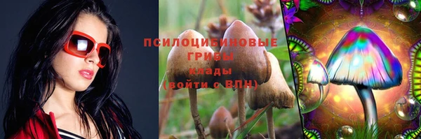стаф Михайловка