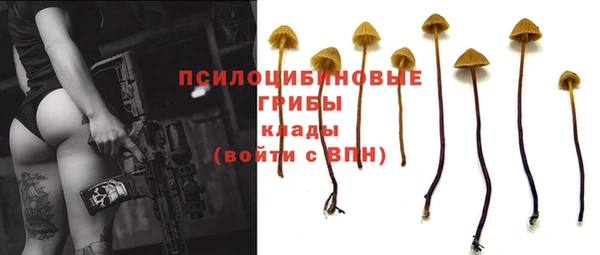 стаф Михайловка
