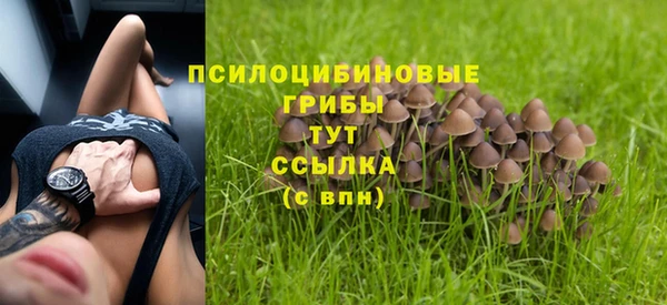 стаф Михайловка