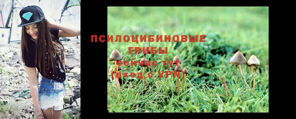 MDMA Михайловск