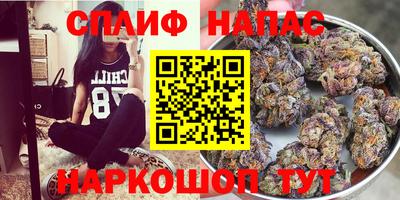 spice Гусиноозёрск