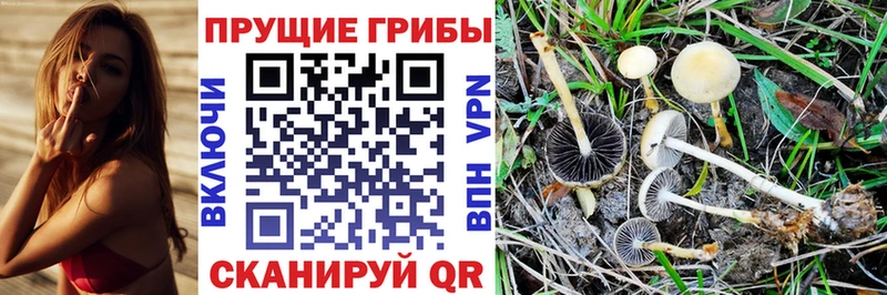 Галлюциногенные грибы мицелий  Кисловодск 