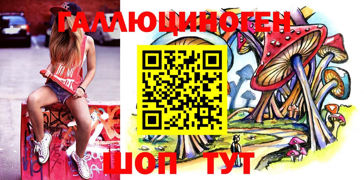 Галлюциногенные грибы Psilocybine cubensis  Галлюциногенные грибы Psilocybine cubensis  Кисловодск 