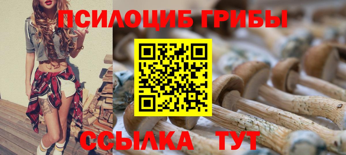 Галлюциногенные грибы Psilocybe  Вход с VPN  Кисловодск  Псилоцибиновые грибы Psilocybine cubensis 