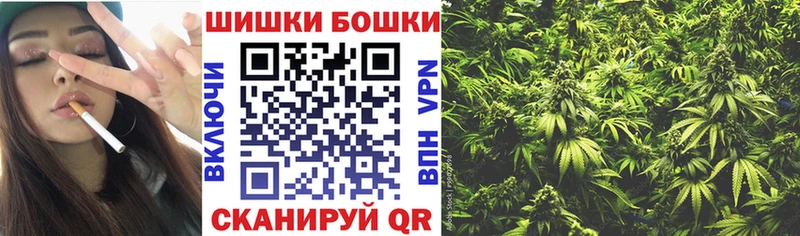 Шишки марихуана THC 21%  цена   Кисловодск 